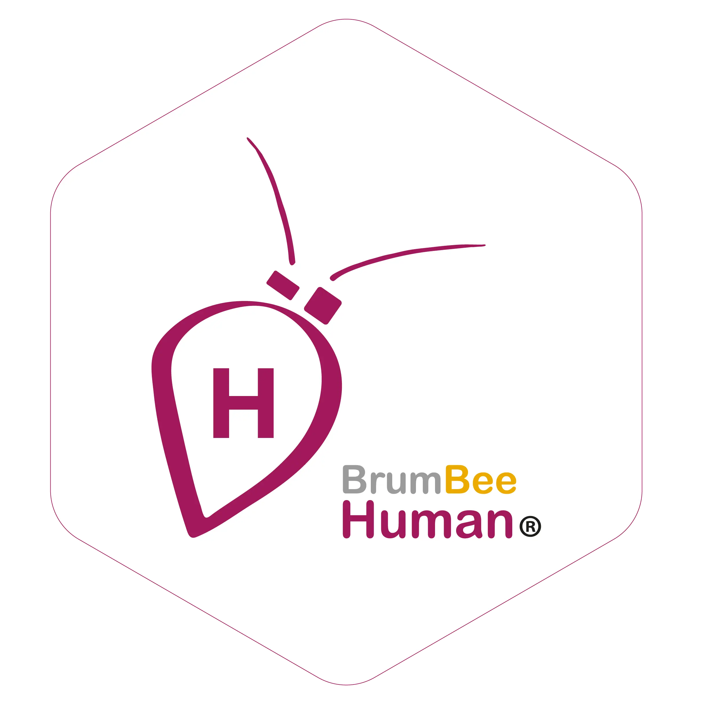 BrumBee Human