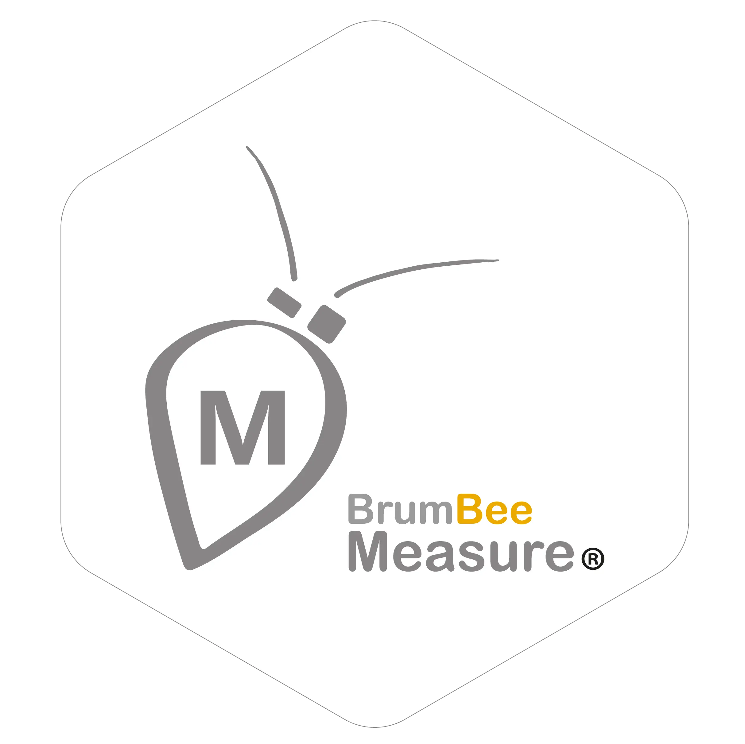 BrumBee Measure