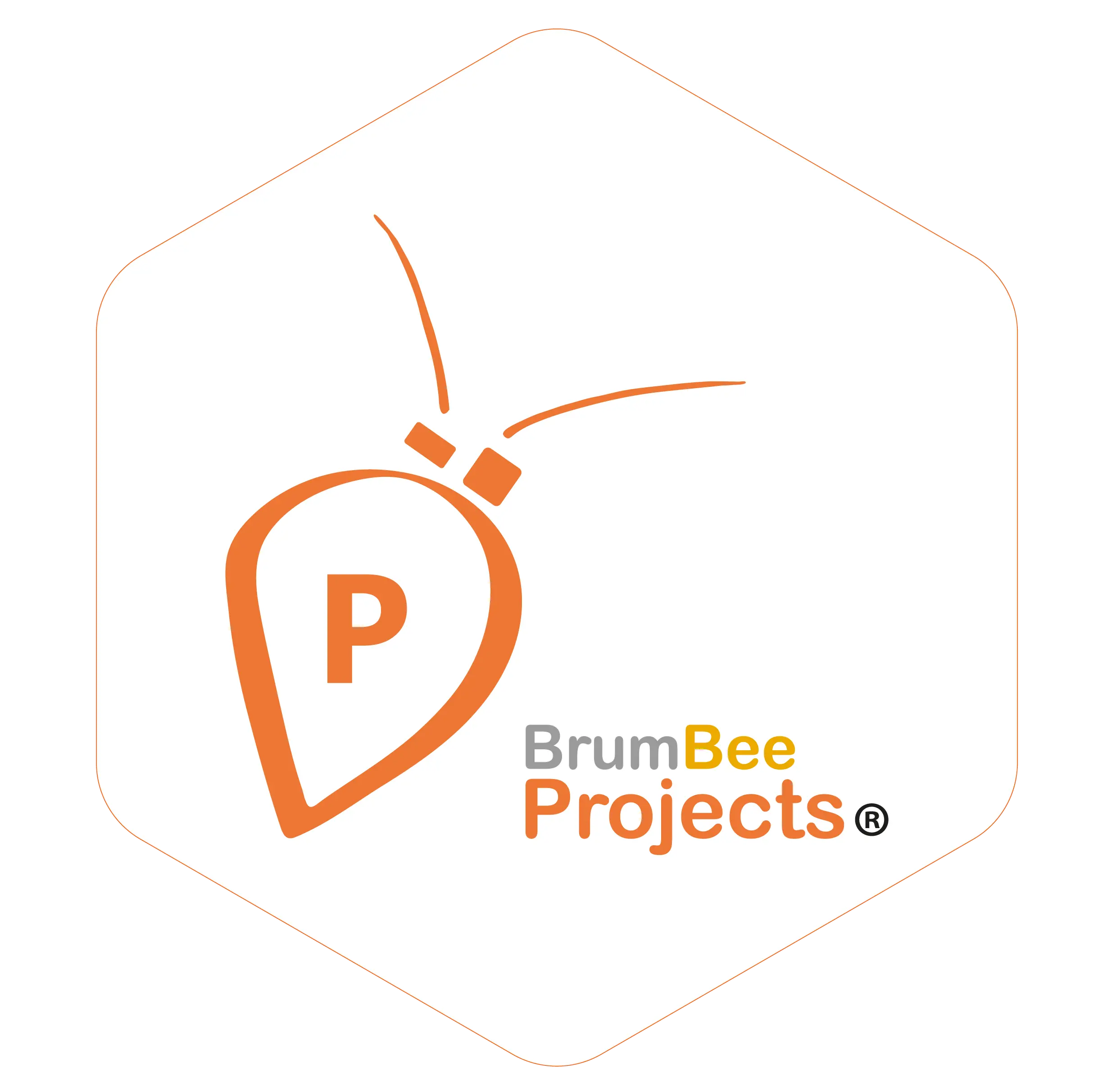 BrumBee Projects