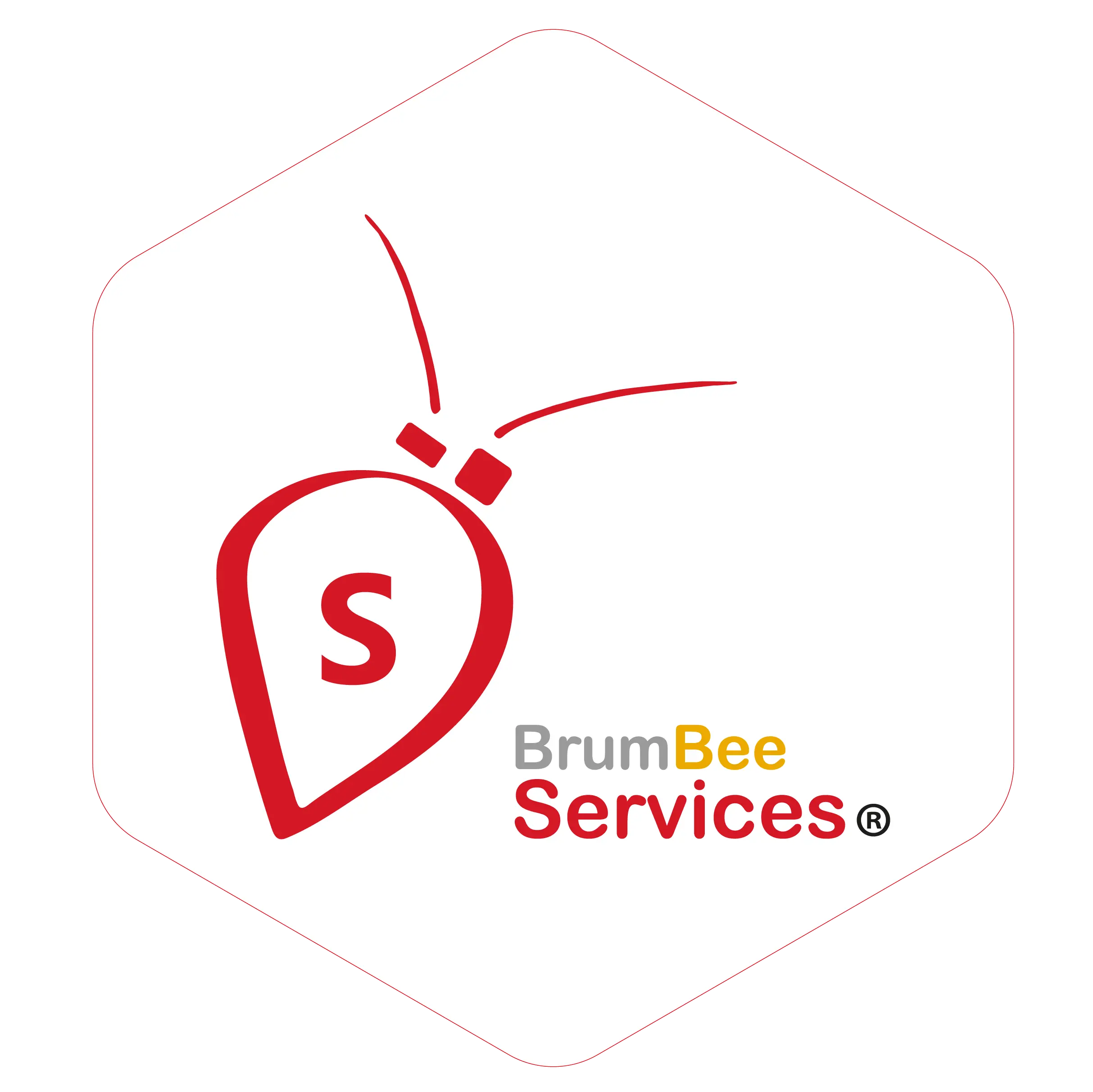 BrumBee Services