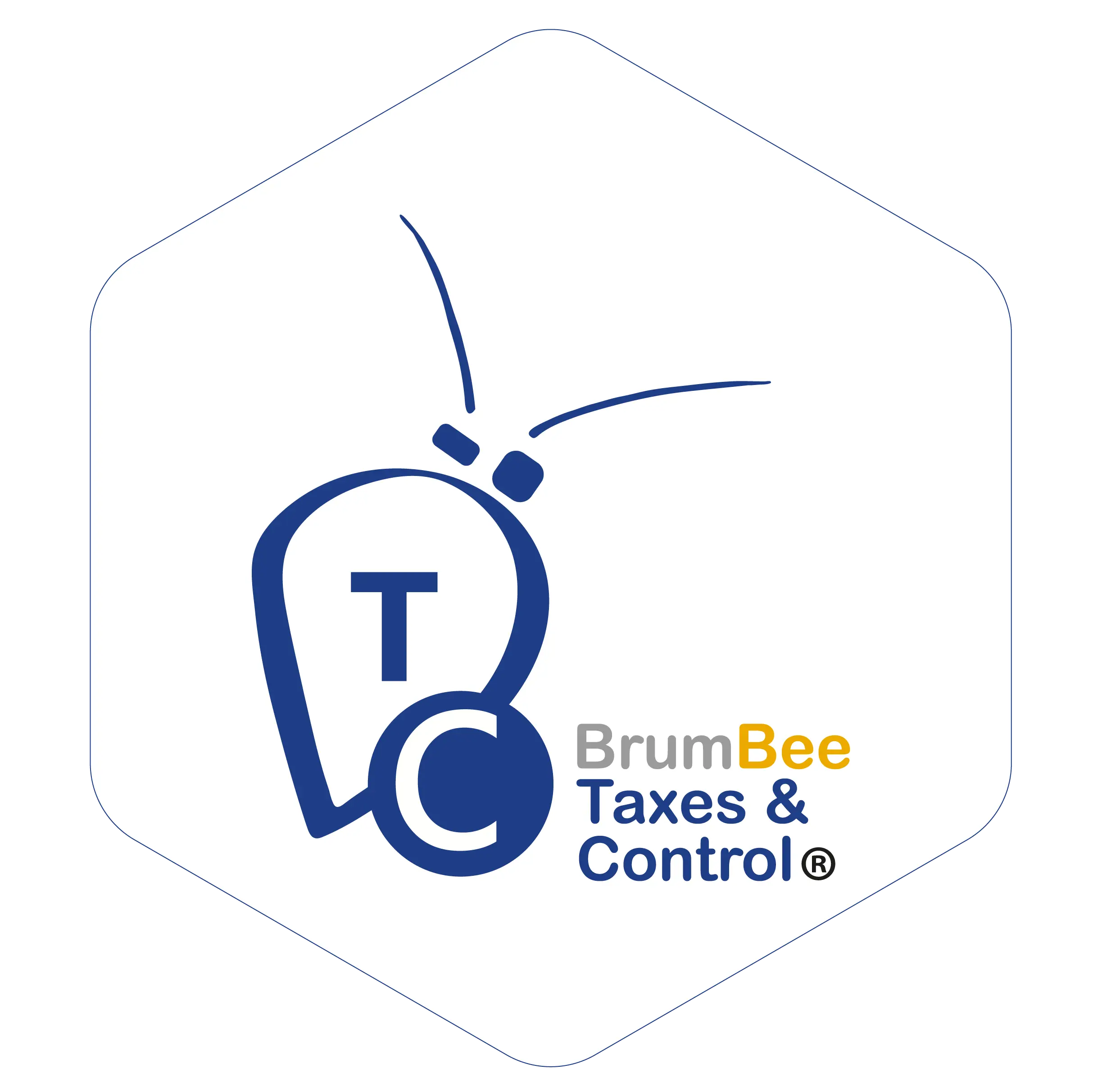 BrumBee Taxes & Control